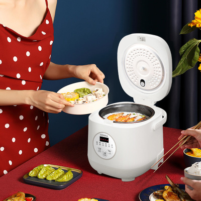 mini rice cooker non stick pan