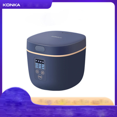 mini rice cooker small appliances