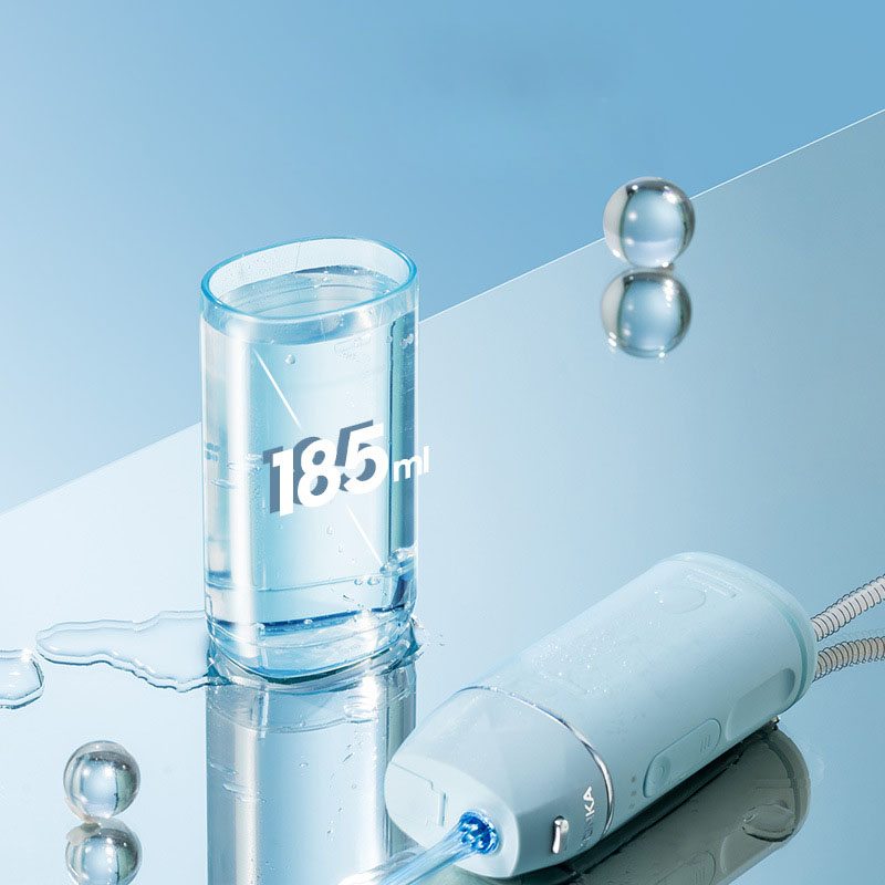 portable dental flosser