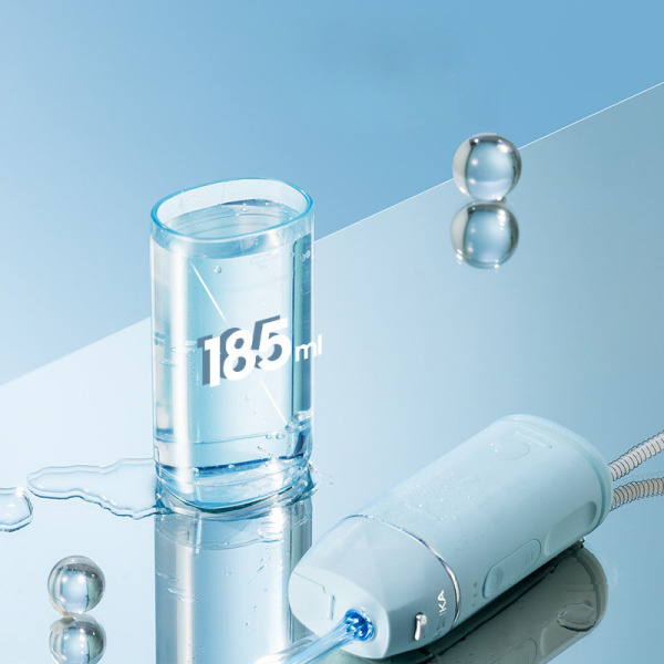 portable dental flosser