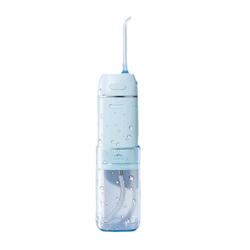 portable dental flosser