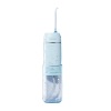 portable dental flosser