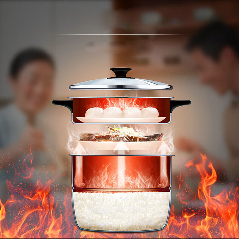 household electric pressure cooker pressure cooker