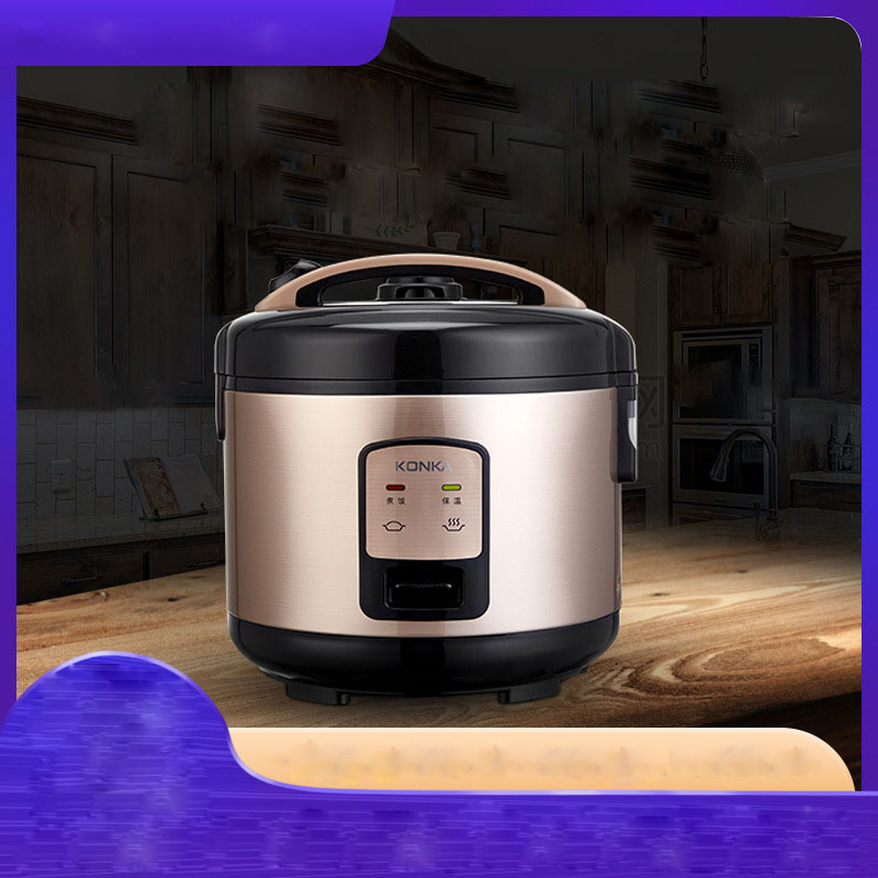 home authentic mini small rice cooker