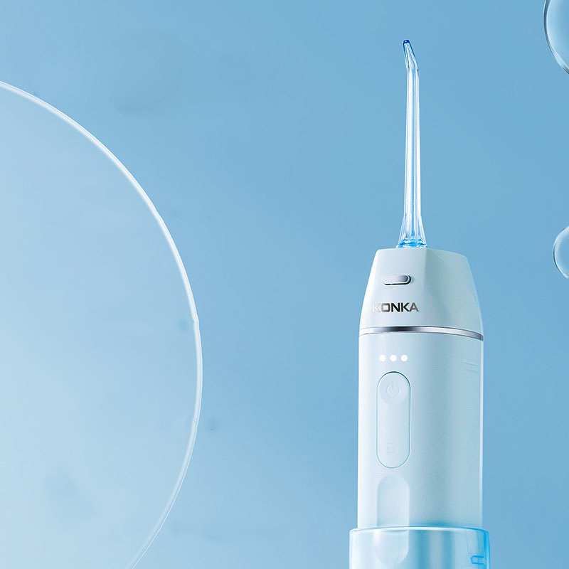 portable dental flosser