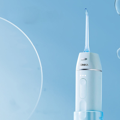 portable dental flosser